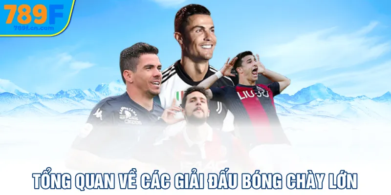 Tổng quan về các giải đấu bóng chày lớn